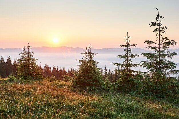 산 풍경에 일몰입니다. 극적인 하늘. 우크라이나 유럽의대로.