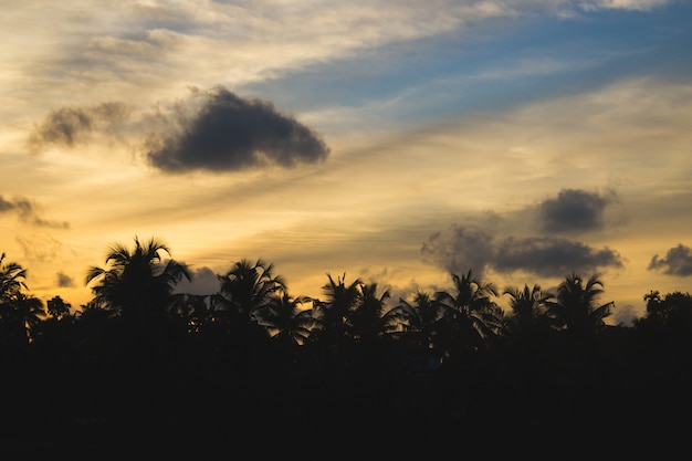 Sunset behind silhouettes of palm trees