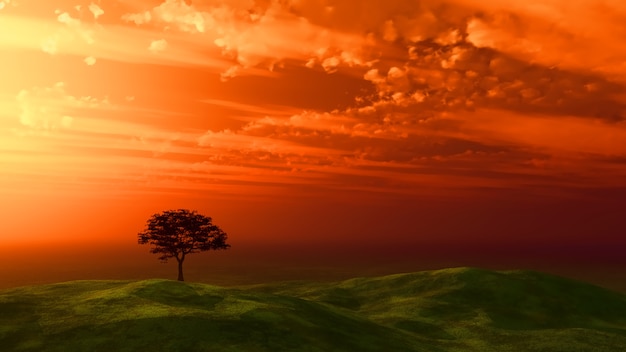 Foto gratuita albero al tramonto