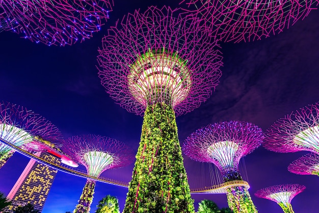 Foto gratuita super albero in garden by the bay