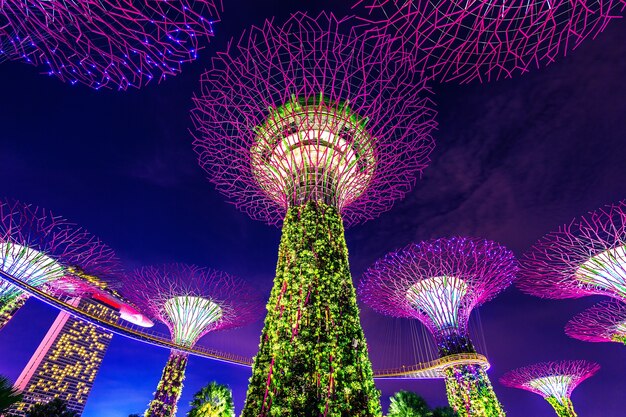 Super tree in Garden by the Bay