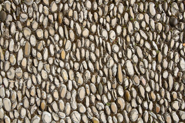 Surface laid with wet small stones