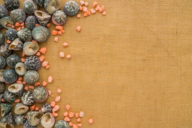 Surface with seashells and space for messages