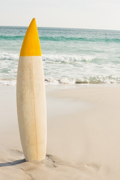 Surfboard in the sand