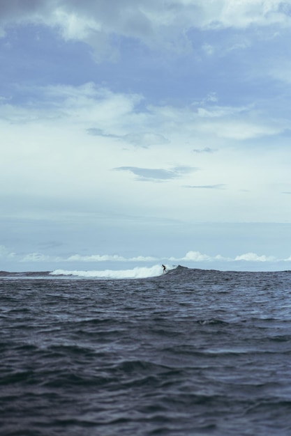 Surfing in Bali. A surfer in the ocean catches a wave.