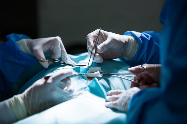 Surgeons performing operation in operation room