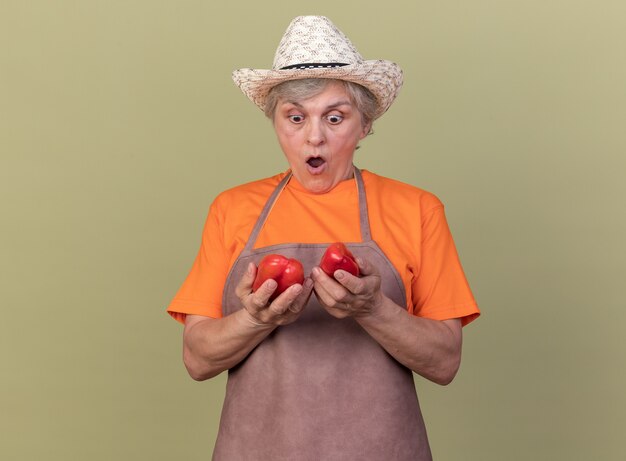 Surprised elderly female gardener wearing gardening hat holding and looking at red peppers isolated on olive green wall with copy space