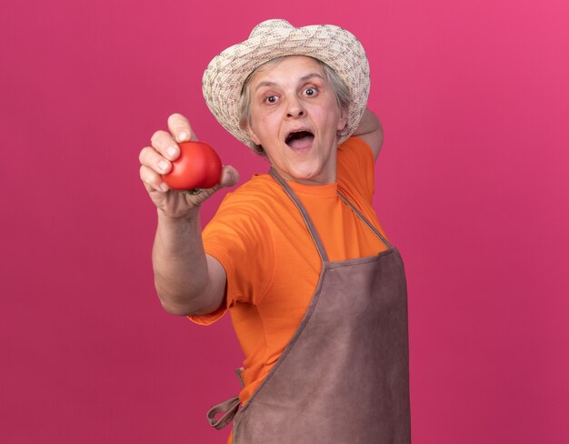 토마토를 들고 원예 모자를 쓰고 놀란 된 노인 여성 정원사