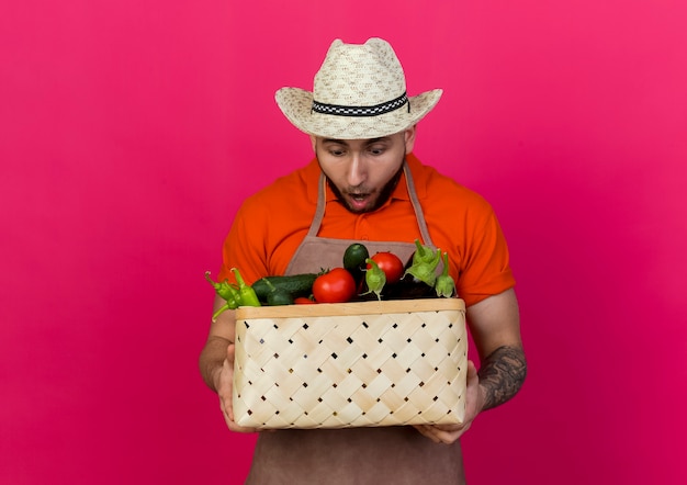 원예 모자를 쓰고 놀란 남성 정원사는 야채 바구니를 보유하고 보인다.