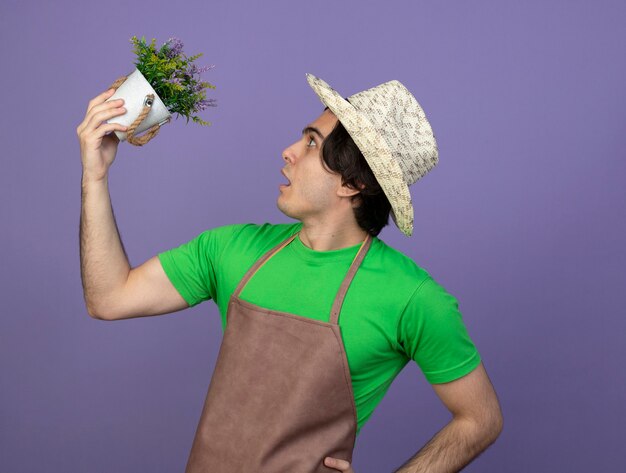 Sorpreso in piedi in vista di profilo giovane giardiniere maschio in uniforme che indossa cappello da giardinaggio alzando e guardando il fiore in vaso di fiori mettendo la mano sul fianco isolato su viola