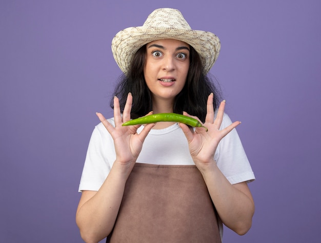Surprised young brunette female gardener in uniform wearing gardening hat holds hot pepper isolated on purple wall with copy space