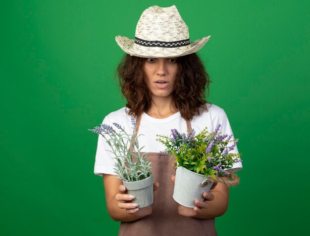 Surprised young female gardener in uniform wearing gardening hat holding and looking at flowers in flowerpots