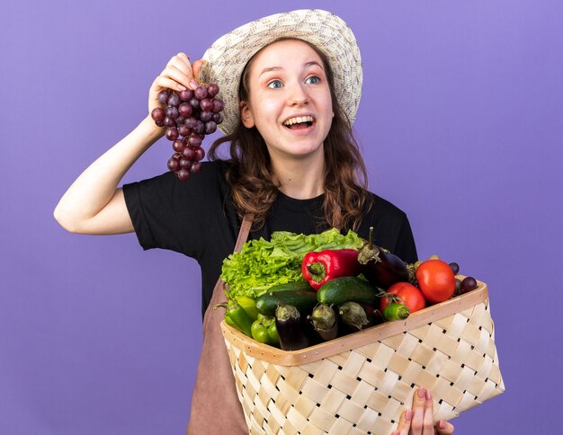 Бесплатное фото Удивленная молодая женщина-садовник в садовой шляпе держит овощную корзину с виноградом, изолированную на синей стене