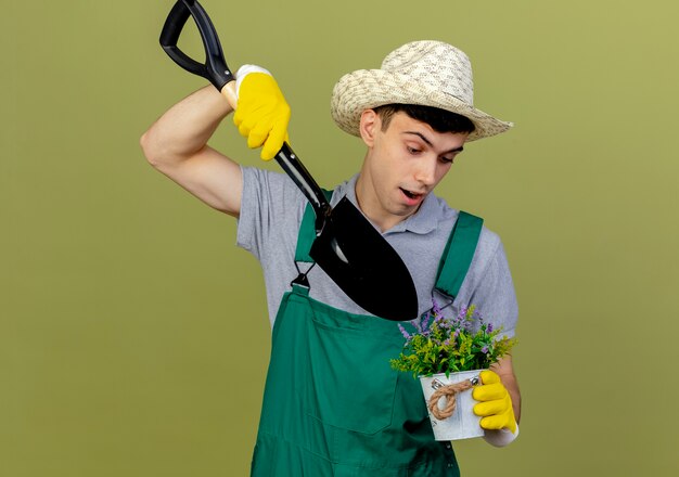 Surprised young male gardener wearing gardening hat and gloves holds spade over flowerpot