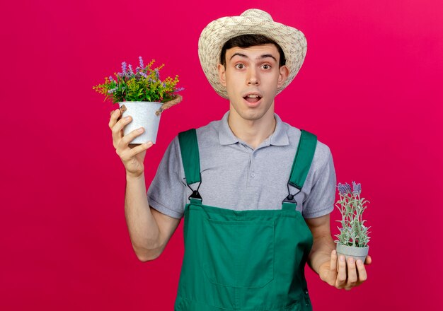 Surprised young male gardener wearing gardening hat holds flowers in flowerpots 