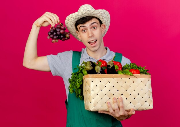 Sorpreso giovane giardiniere maschio che indossa un cappello da giardinaggio tiene cesto di verdure e uva