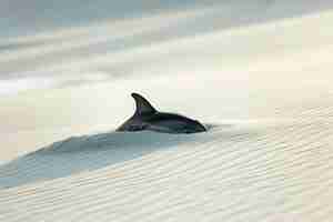 Free photo surreal rendering of dolphin in desert