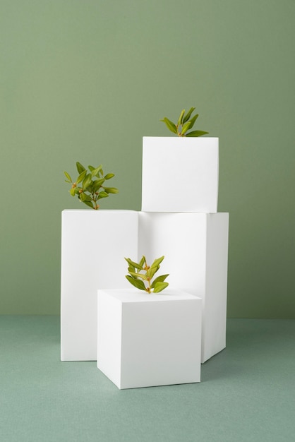 空白の幾何学的形状と成長する植物による持続可能性のコンセプト
