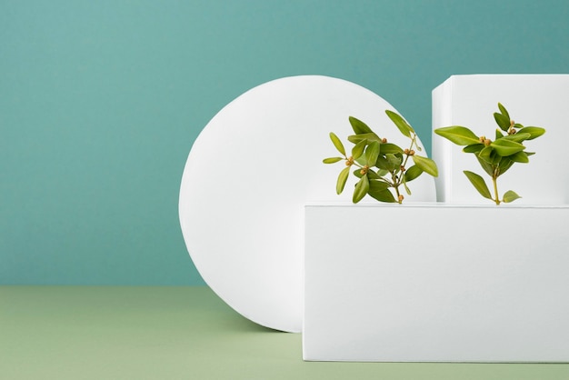 Sustainability concept with blank geometric forms and growing plant