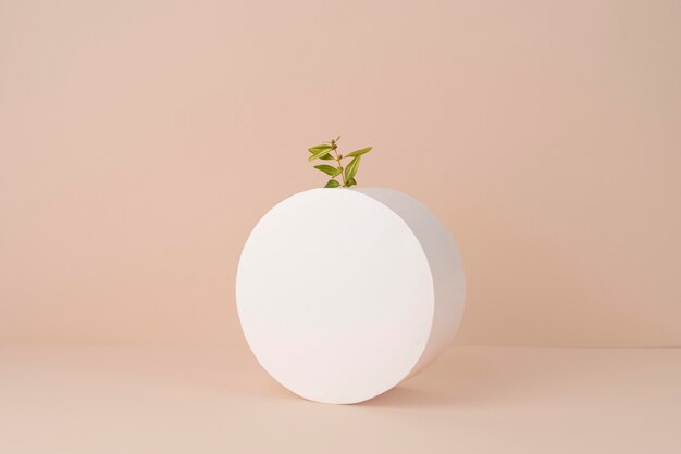 Sustainability concept with blank geometric forms and growing plant