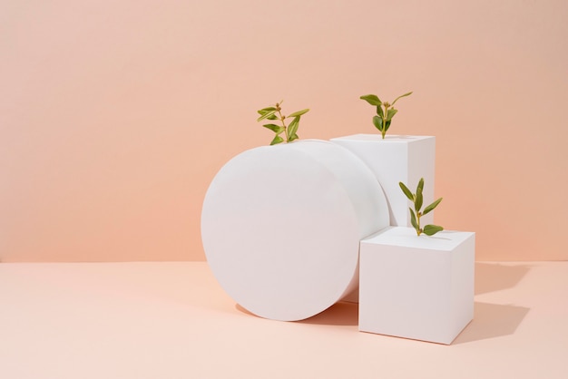 Sustainability concept with blank geometric forms and growing plant