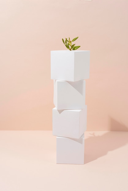 Sustainability concept with blank geometric forms and growing plant
