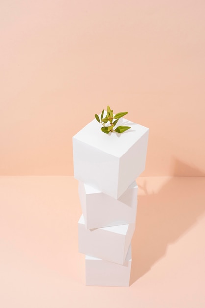 Free photo sustainability concept with blank geometric forms and growing plant