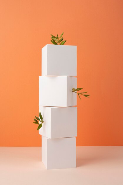 Sustainability concept with blank geometric forms and growing plant