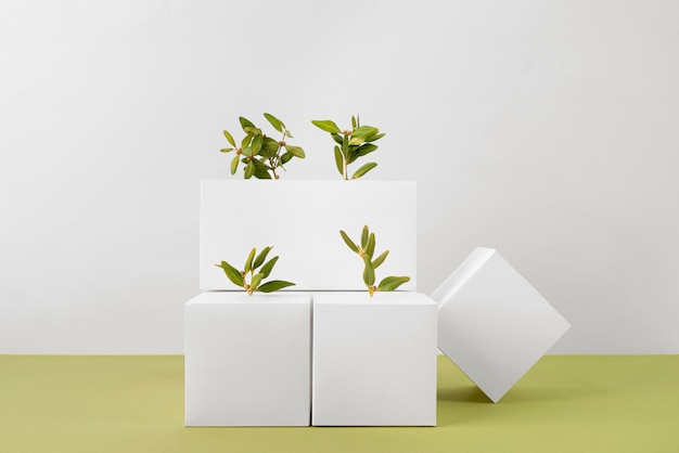Sustainability concept with blank geometric forms and growing plant