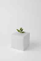 Бесплатное фото Концепция устойчивости с геометрическими формами и растущим растением