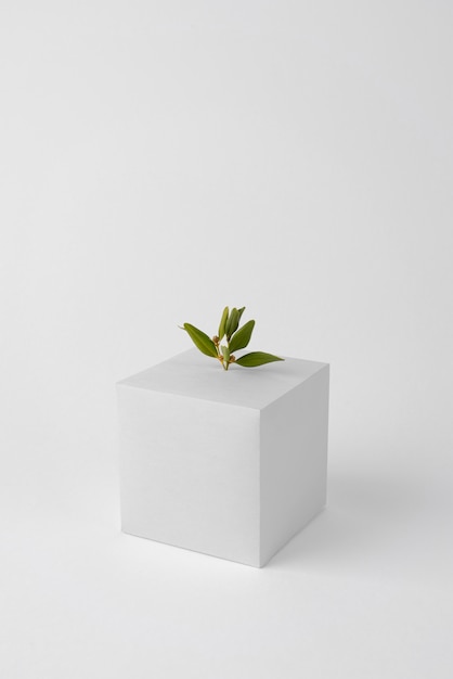 Free photo sustainability concept with geometric forms and growing plant