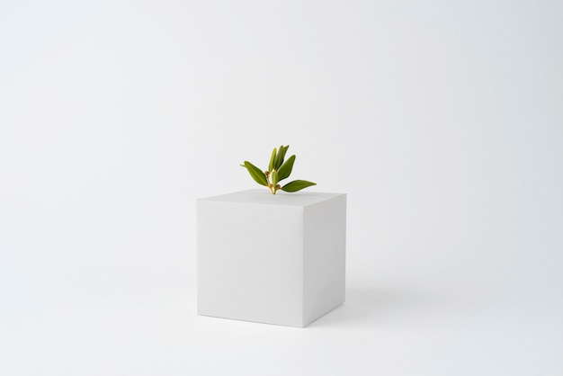 Sustainability concept with geometric forms and growing plant