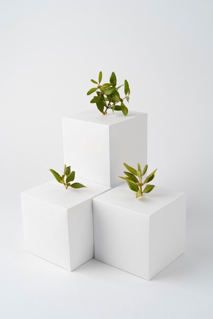 Sustainability concept with geometric forms and growing plant