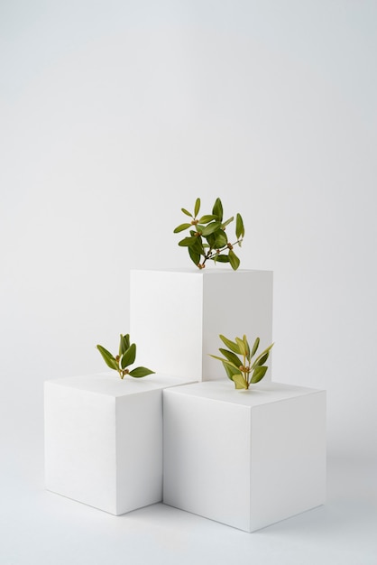 Sustainability concept with geometric forms and growing plant