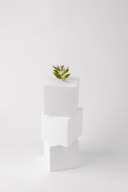 Free photo sustainability concept with geometric forms and growing plant