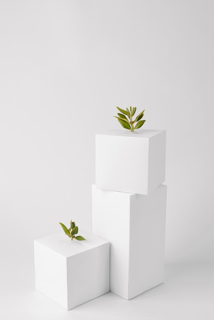 Sustainability concept with geometric forms and growing plant