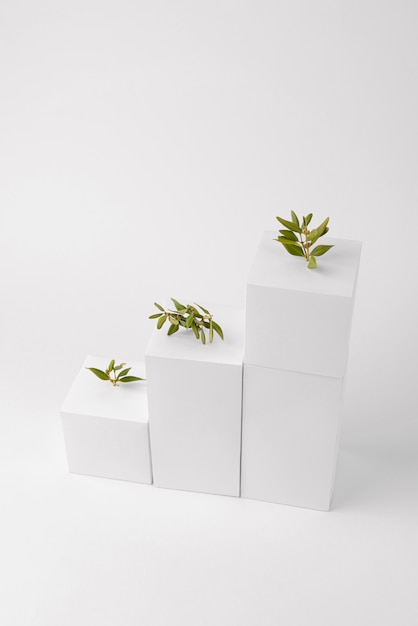 Sustainability concept with geometric forms and growing plant