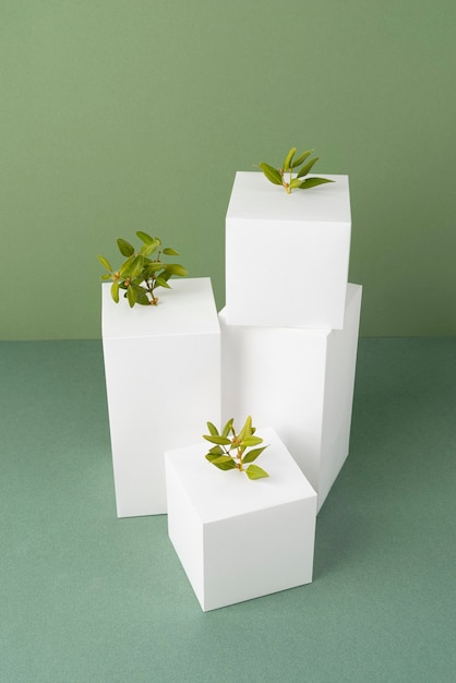 Sustainability concept with geometric forms and growing plant