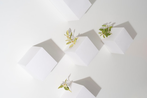 Sustainability concept with geometric forms and growing plant