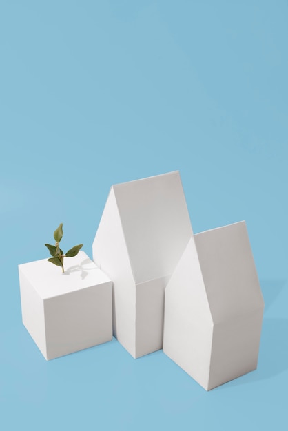 Sustainability concept with geometric forms and growing plant