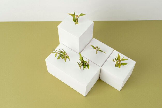 Sustainability concept with plants growing from blank geometric forms