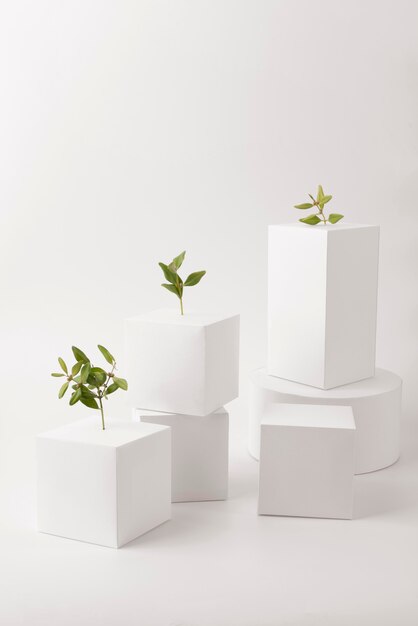 Sustainability concept with plants growing from blank geometric forms