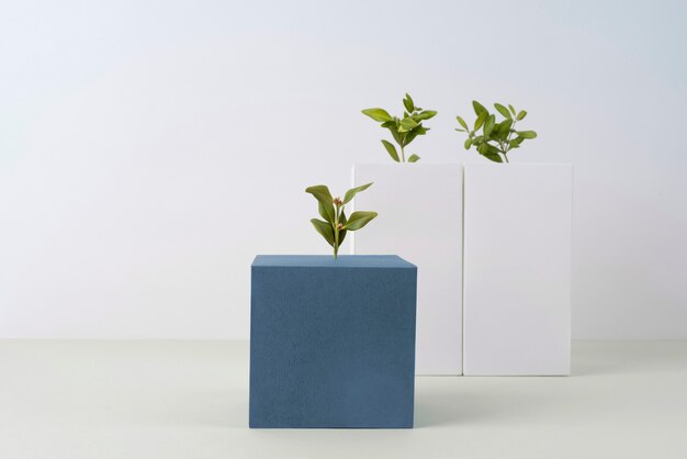sustainability concept with plants growing from geometric forms