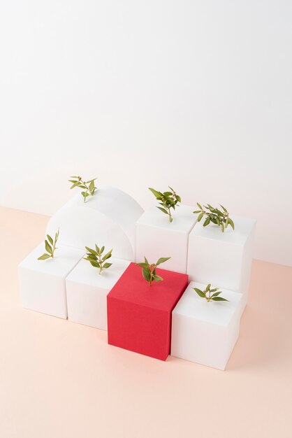 Sustainability concept with plants growing from geometric forms