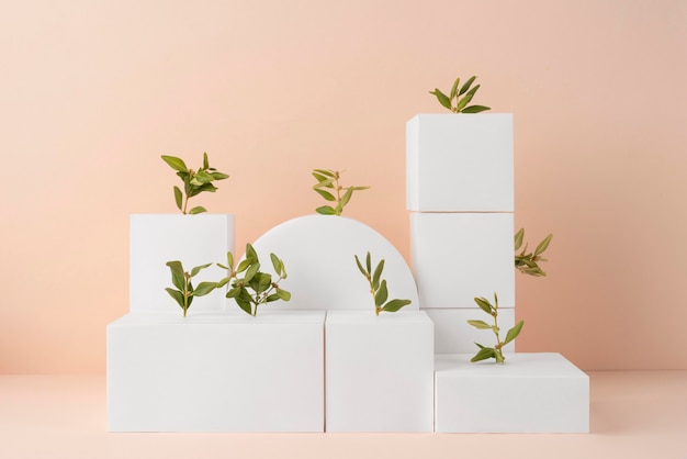 Free photo sustainability concept with plants growing from geometric forms