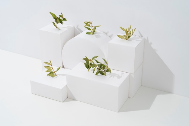 Sustainability concept with plants growing from geometric forms