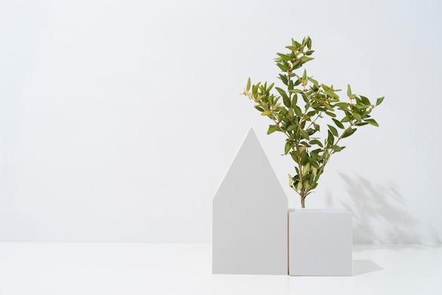 Sustainability concept with plants growing from geometric forms