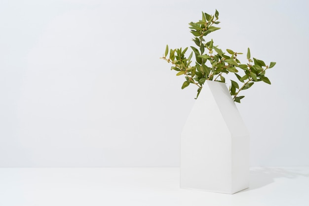 Sustainability concept with plants growing from geometric forms
