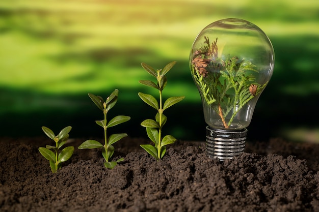 sustainable development goals still life