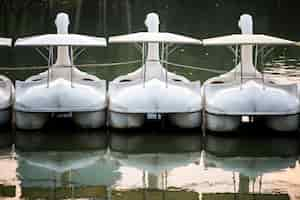 Free photo swan paddle boats in a lake